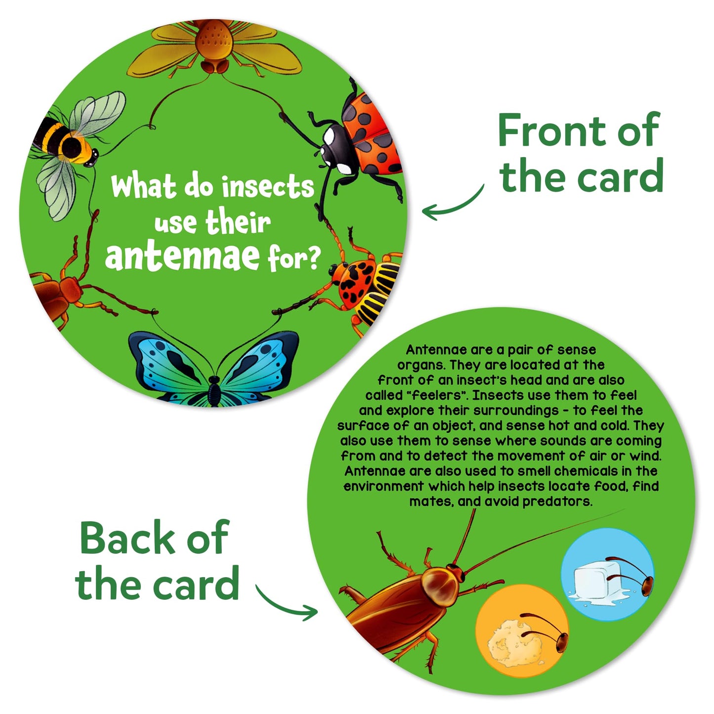 Skillmatics Flash Cards - Science Snippets Animals, STEM Learning Educational Toys & Learning Aids for Kids, Gifts for Boys & Girls Ages 7, 8, 9 & Up, Homeschool, Classroom & Travel Activity