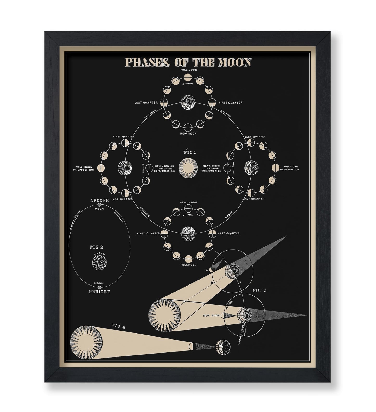 Poster Master Phases of the Moon Print - Astronomy Poster - Lunar Art - Gift for Planetary Astrology Fans - Educational Wall Decor for Classroom or Library - 8x10 Unframed Wall Art