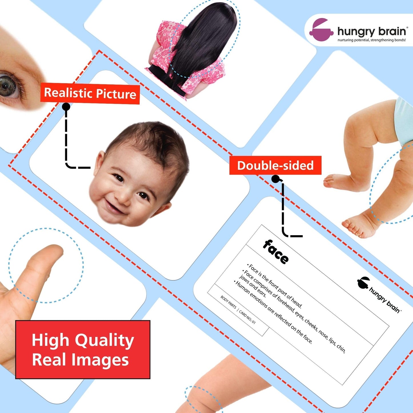 Hungry Brain Body Parts Flash Cards for Toddlers Ages 1-6 | Montessori Educational Learning Cards for Babies & Kids | Preschool Vocabulary, Speech Development, Early Learning & Homeschool Teaching Aid