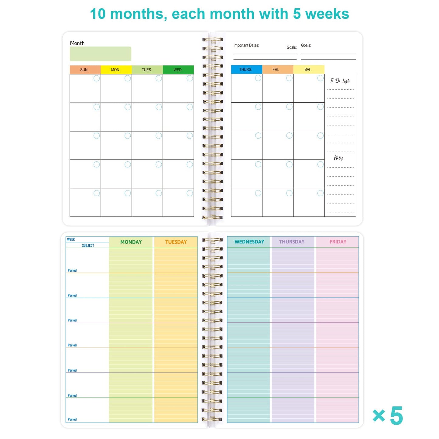 Ceiba Tree Undated Teacher Planner Lesson Planner and Record Book 8.5x11 inch Gradebook Attendance Book 10 Months 50 Weeks Lesson Plan 5 Sheet Teacher Planner Stickers