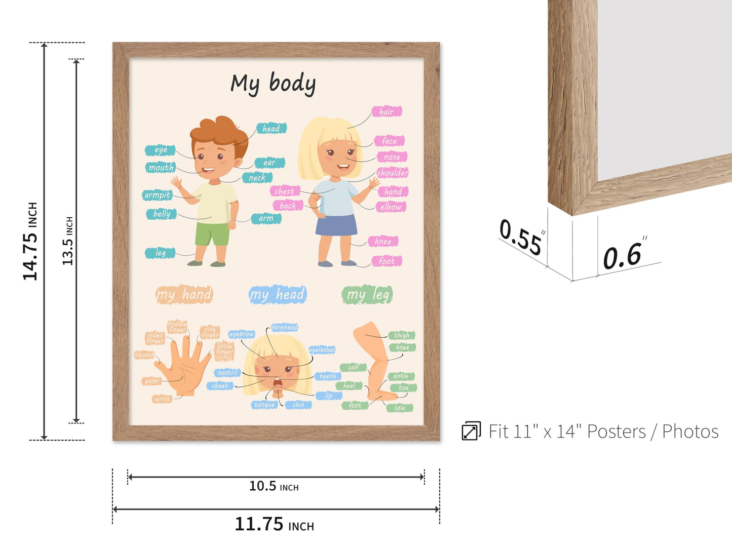 Poster Master My Body Poster - Body Parts Print - Learning Materials Art - Educational Art - Gift for Kids, Students & Teacher - Wall Decor for Playroom, Classroom or Library, 11x14 Beige Framed