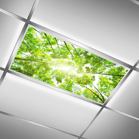 2PCS Fluorescent Light Covers for Classroom Ceiling - Magnetic Filters for School, Home, Office Drop Ceiling Lamp Decor 4x2Feet (Spring Forest)