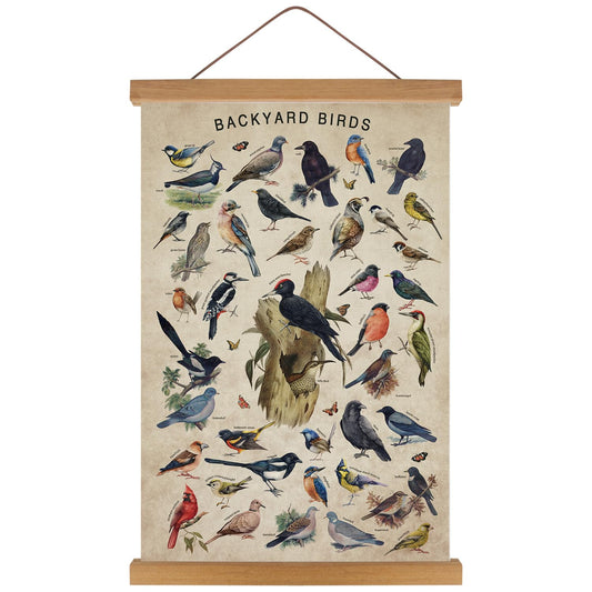 KAIRNE Vintage Backyard Birds Canvas Wall Art Set,Bird Identification Poster Chart,Hummingbird Decor,Birds Art Prints(35x56cm)landscape Wall Decor,Ideal Nature-Inspired Home Decor for Bird Enthusiasts