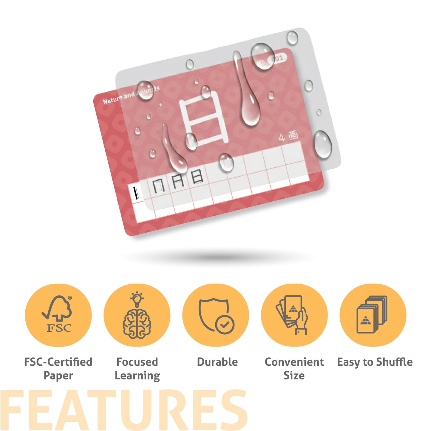 CARDDIA | Japanese Kanji Flashcards for JLPT N5 & N4 | 600 Onyomi & Kunyomi Words | Audio Pronunciation | Study Aid for Japanese Learners & Travelers