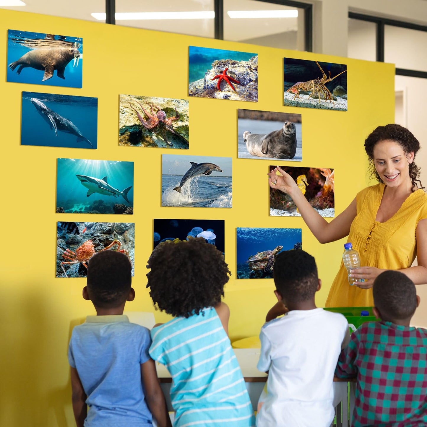 Motiskyy 12 Pcs Diversity Posters for Classroom Preschool Educational Learning Real Pictures for Daycare Home Multicultural Awareness(Ocean Animals)