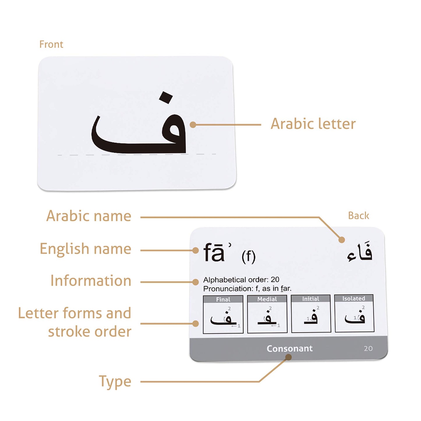 CARDDIA | Arabic Alphabet Educational Flashcards | Includes Consonants, Vowels, Diacritics and Numerals | Ideal for Arabic Language Beginners