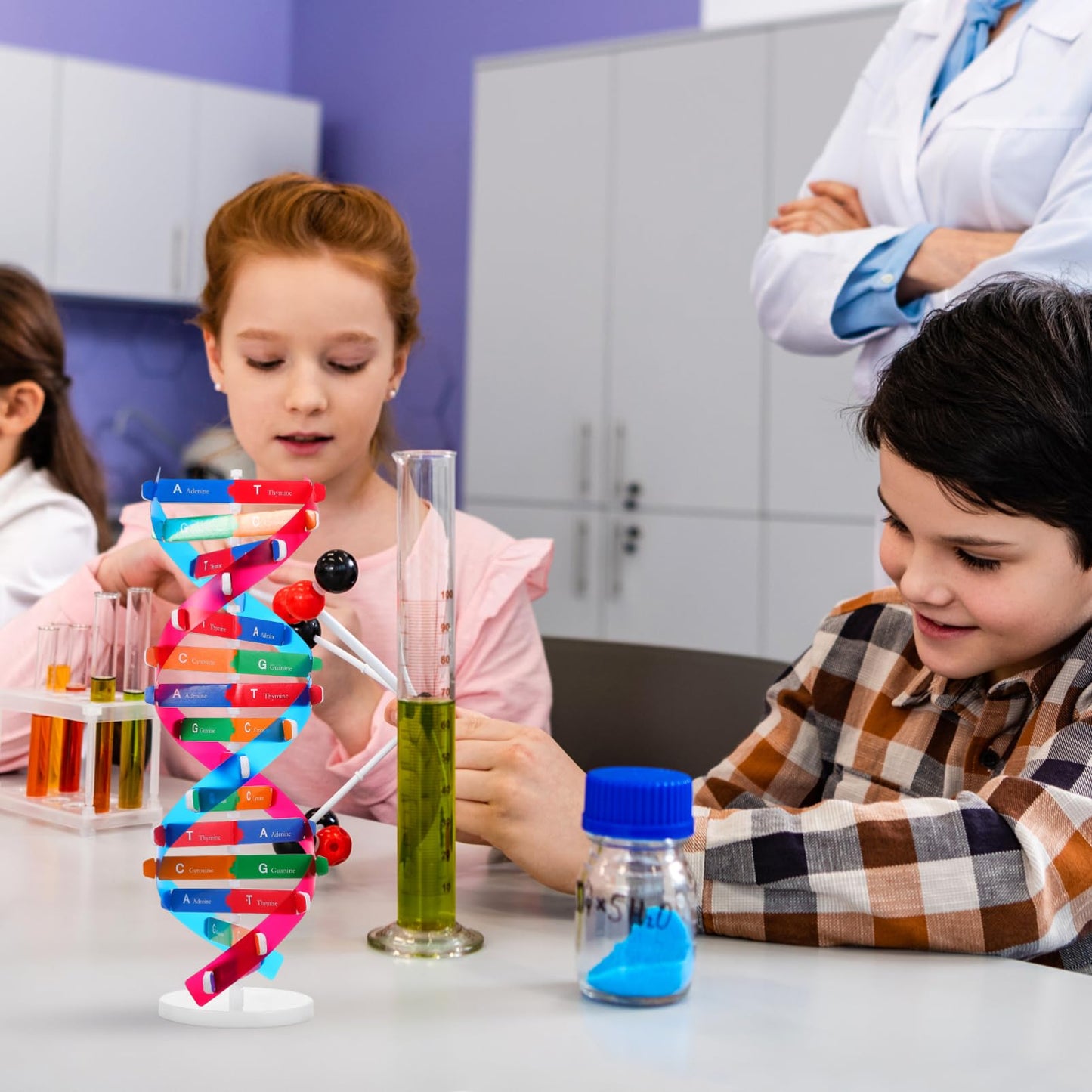 NUOBESTY Educational DNA Double Helix Model Kit for Kids Interactive Biology Science Toy for Hands-on Learning 14.56 Inch DNA Structure Teaching Aid for Classroom and Home