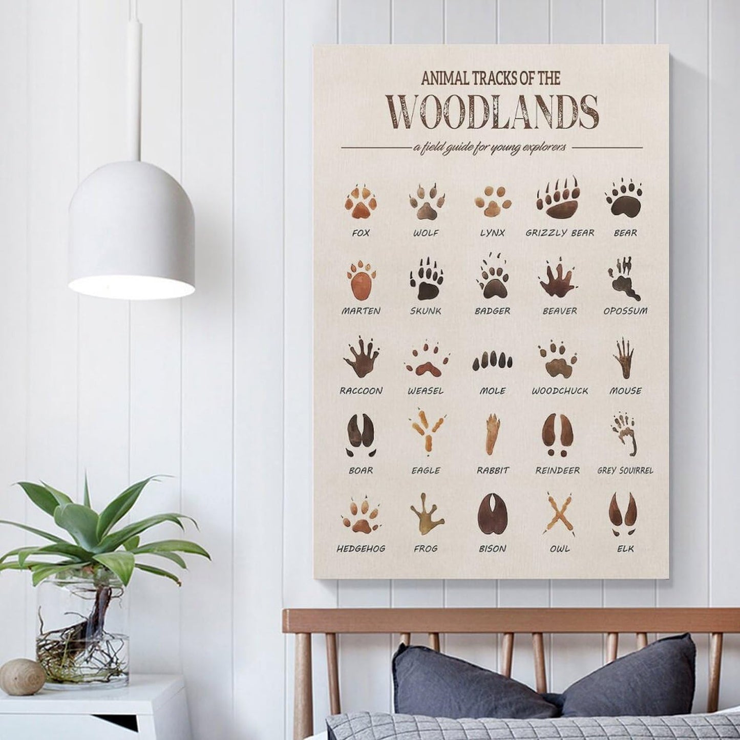 MAIHAIBAO Woodland Animal Tracks Canvas Wall Art - Educational Forest Field Guide Poster - Rustic Nature Nursery & Kids Room Decor - 12x18 Inch (Unframed)