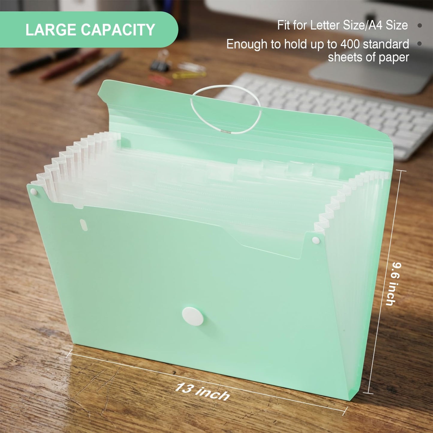 Comix Accordion File Organizer, 13 Pocket, Green