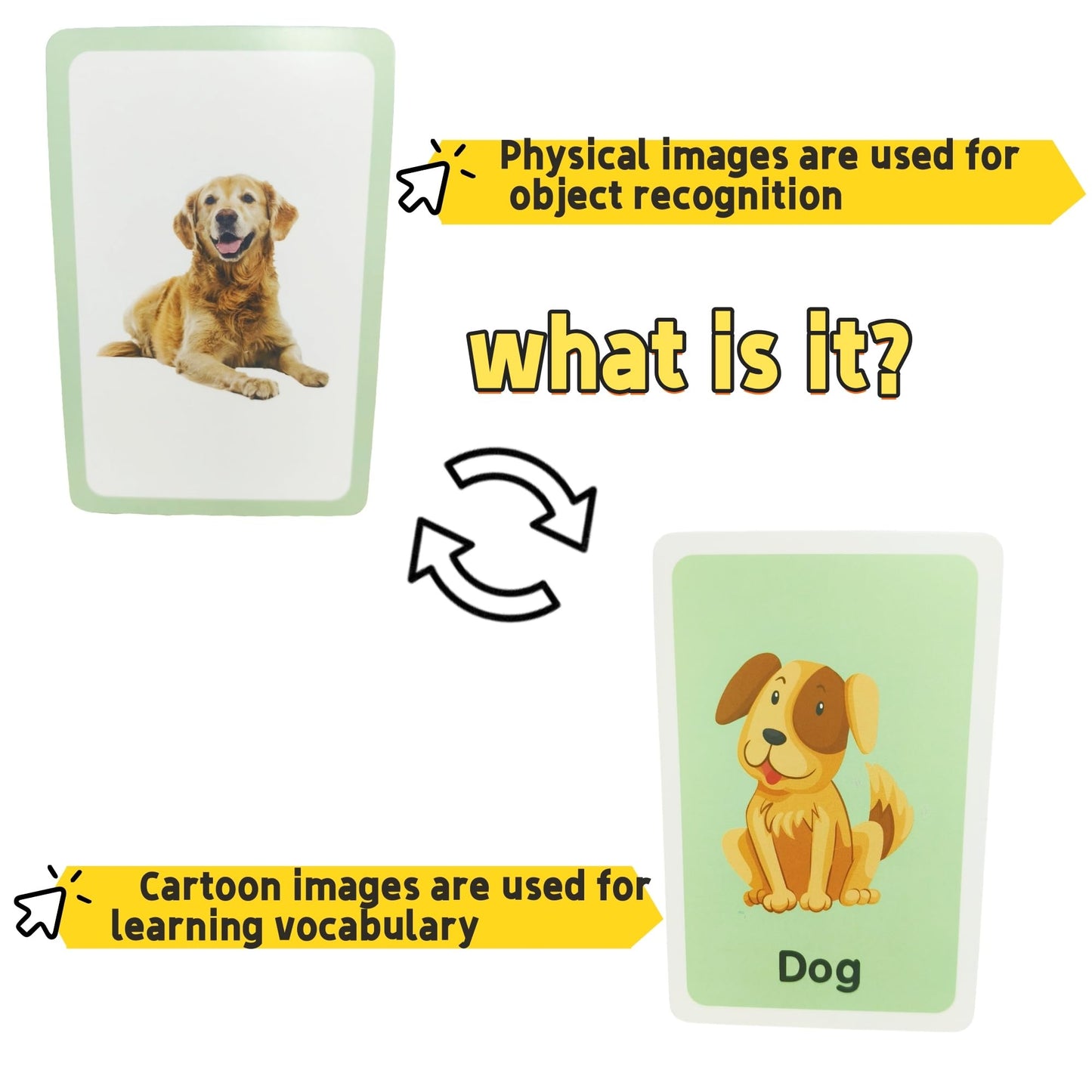 Flash Cards for Toddlers, Educational Learning Set of 144, Body Animal Food Fruit Cards, Ages 2-6, Montessori Preschool Learning Toys for Kindergarten (Orange, Pocket-Size)
