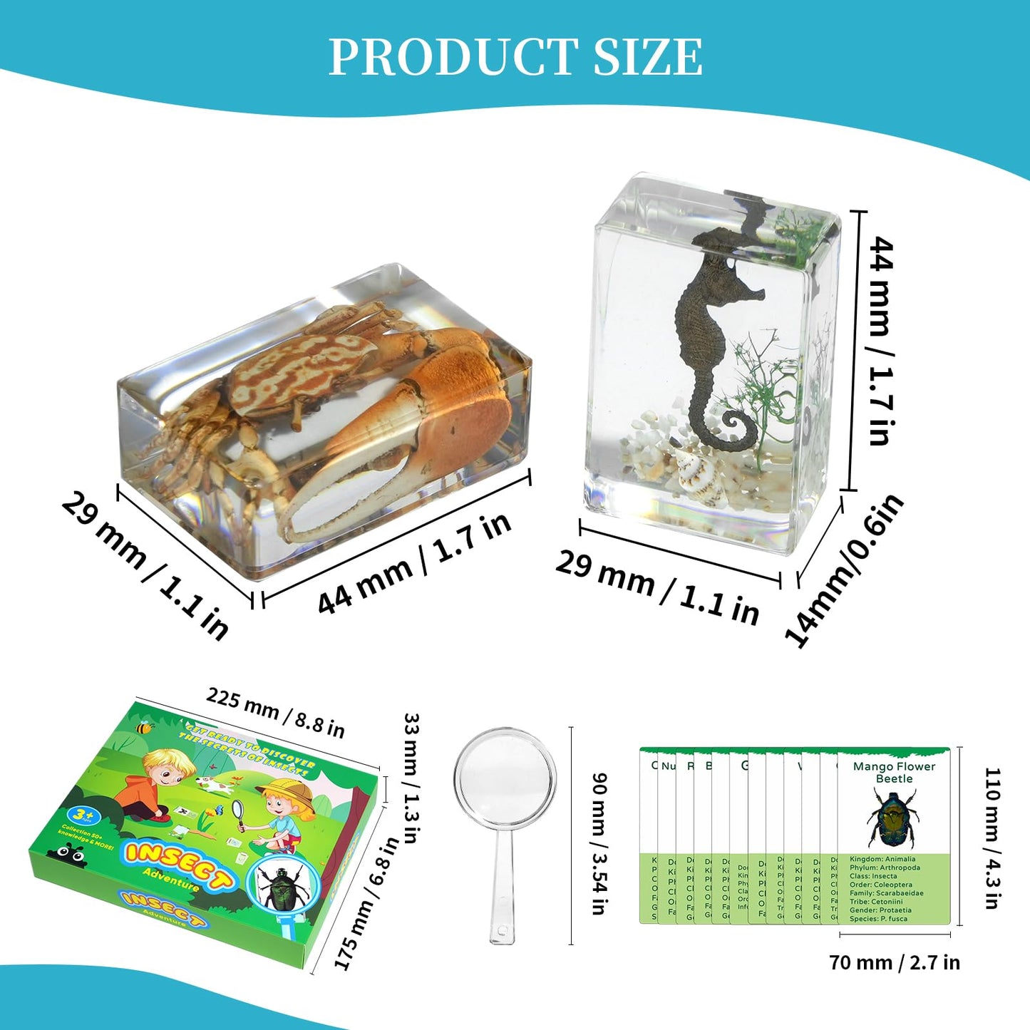 12Pcs Marine Specimen Set in Resin - Real Taxidermy Sea Creatures Collection with Magnifier for Marine Biology Decor, Science Education & Ocean Lovers Gift
