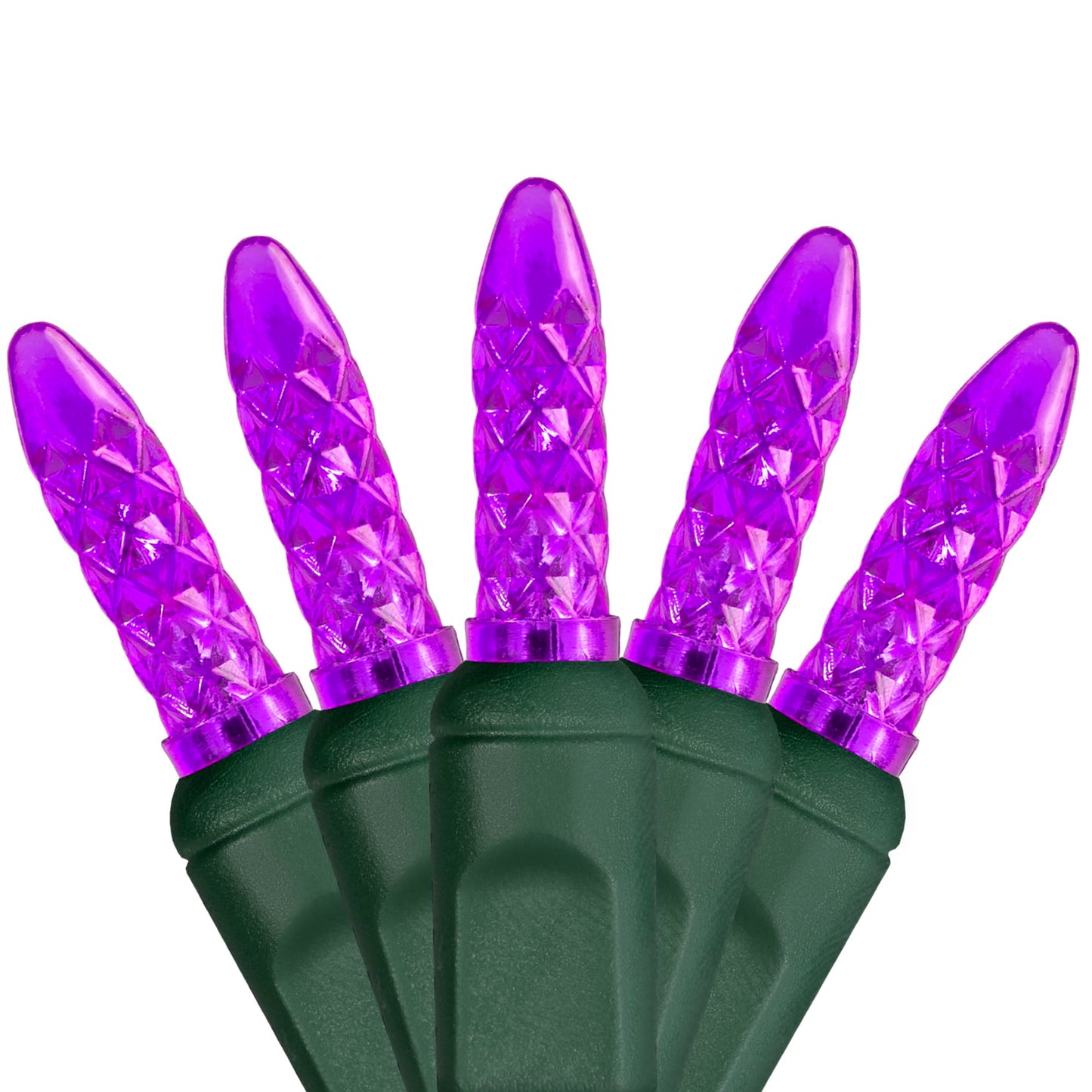 Wintergreen Lighting 24 ft M5 LED Purple Halloween Lights, 70 Count, Indoor/Outdoor, Commercial Grade, Green Wire