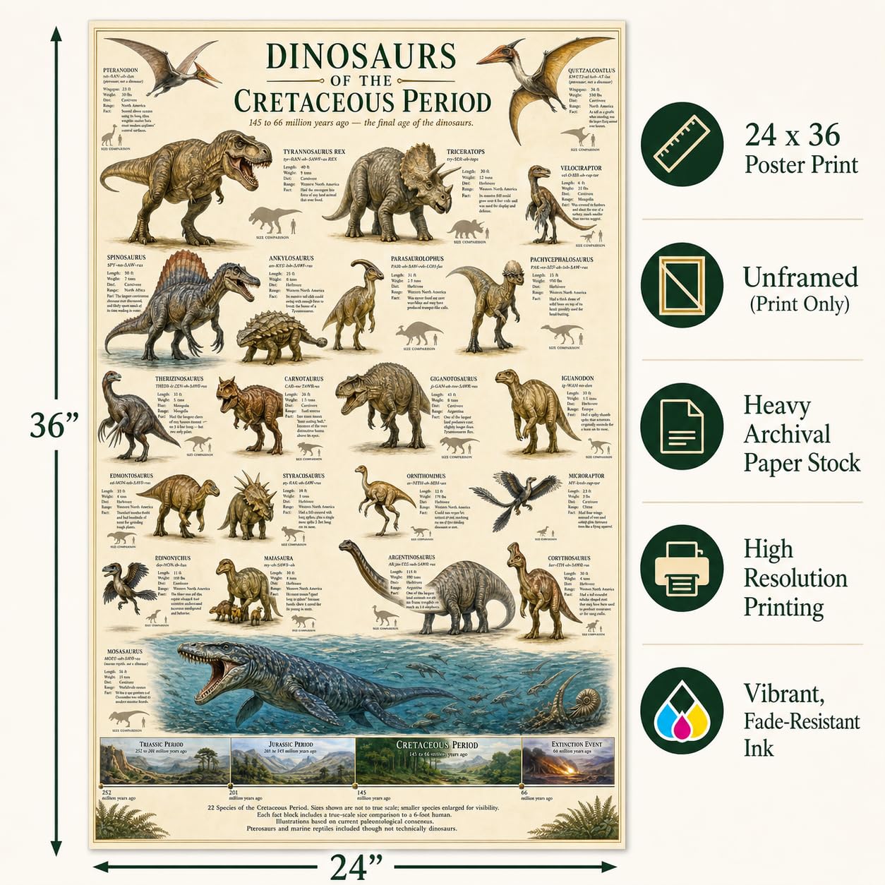 Dinosaurs of the Cretaceous Period Poster 24x36 Unframed Print Educational Dinosaur Chart Wall Art Prehistoric Animal Timeline Paleontology Classroom Decor Science Museum Artwork