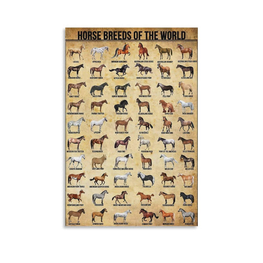 CYPGTBCK Vintage Horse Poster Horse Breeds Poster Poster Decorative Painting Canvas Wall Art Living Room Posters Bedroom Painting 12x18inch(30x45cm)