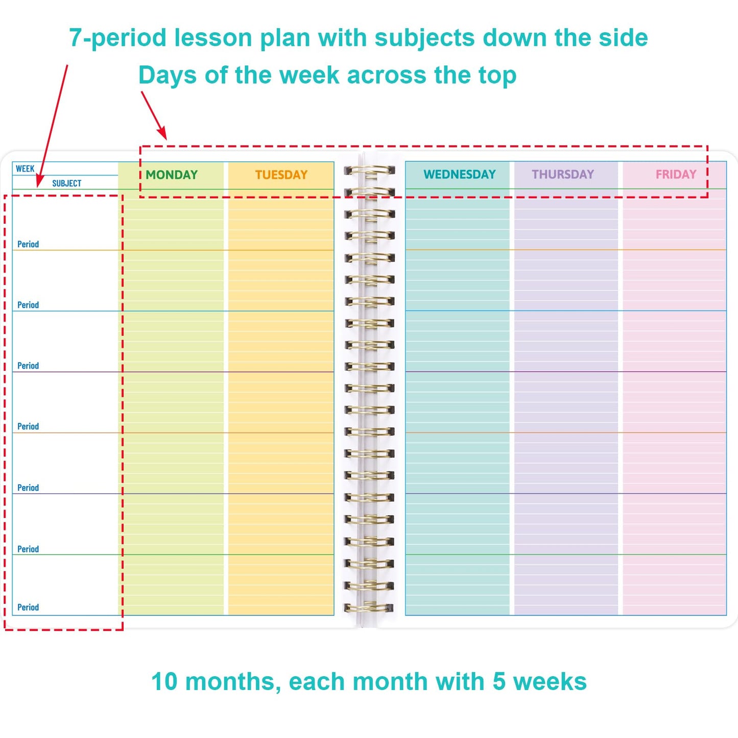 Ceiba Tree Undated Teacher Planner Lesson Planner and Record Book 8.5x11 inch Gradebook Attendance Book 10 Months 50 Weeks Lesson Plan 5 Sheet Teacher Planner Stickers