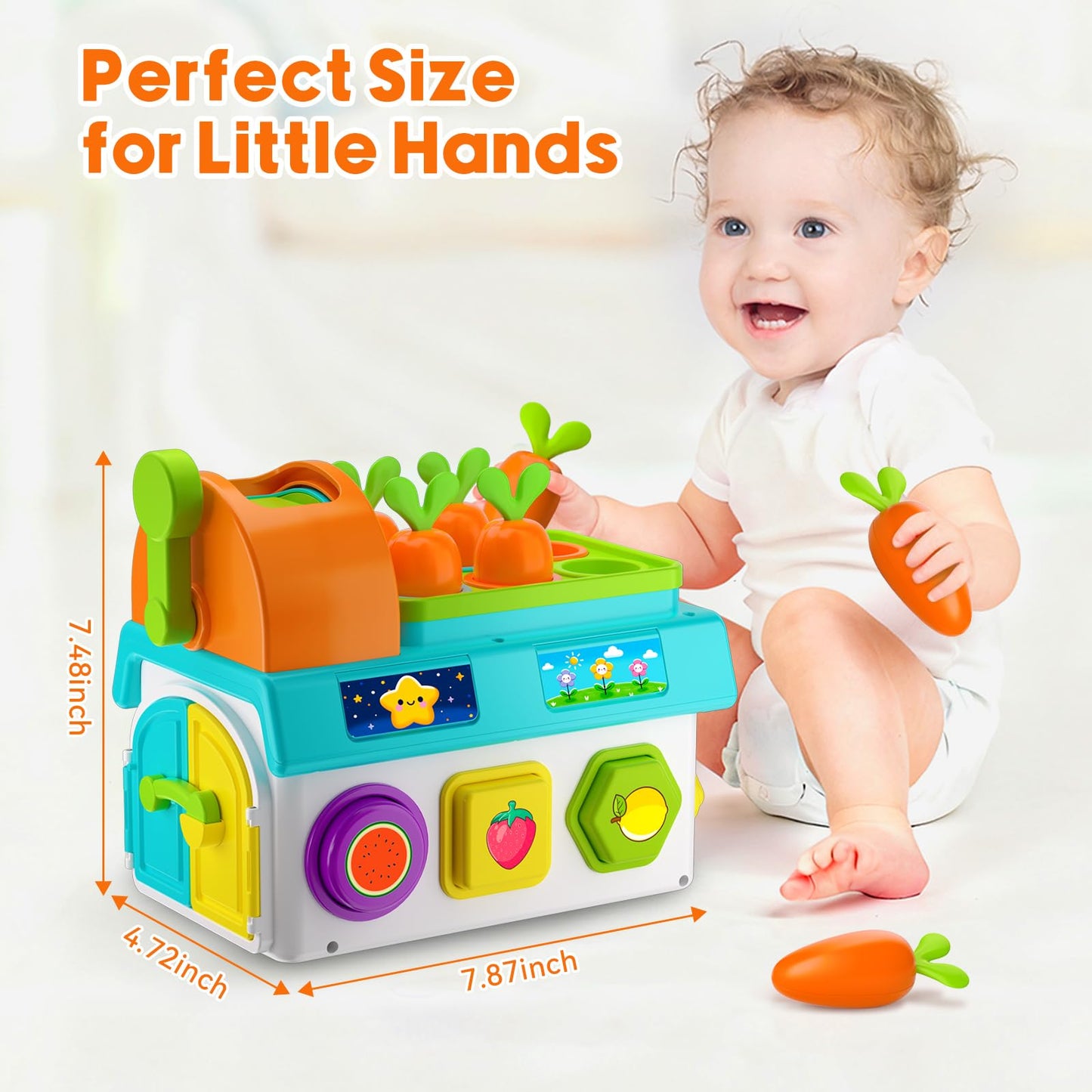 Grasili Musical SortingToys for 1 Year Old Boy, 1st First Birthday Boy Girl Gifts Presents, Montessori Educational Learning Toddler Toy for 1-2 Year Old, Fine Motor Skills Toy
