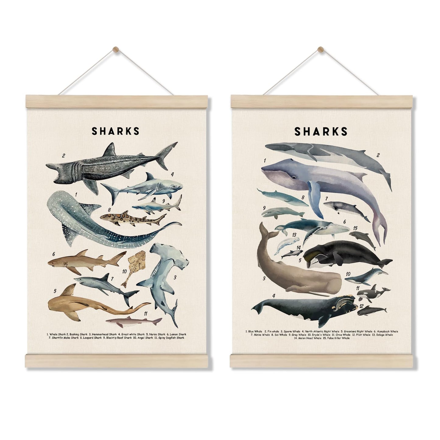 DOI-LANEE Shark Poster Hanger Frame, Set of 2 Shark Canvas Wall Art 16x12 Inch, Kids Educational & Learning Posters, Ocean Room, Sea Animal Decor for Playroom Classroom, Ocean Animals Wall Decor