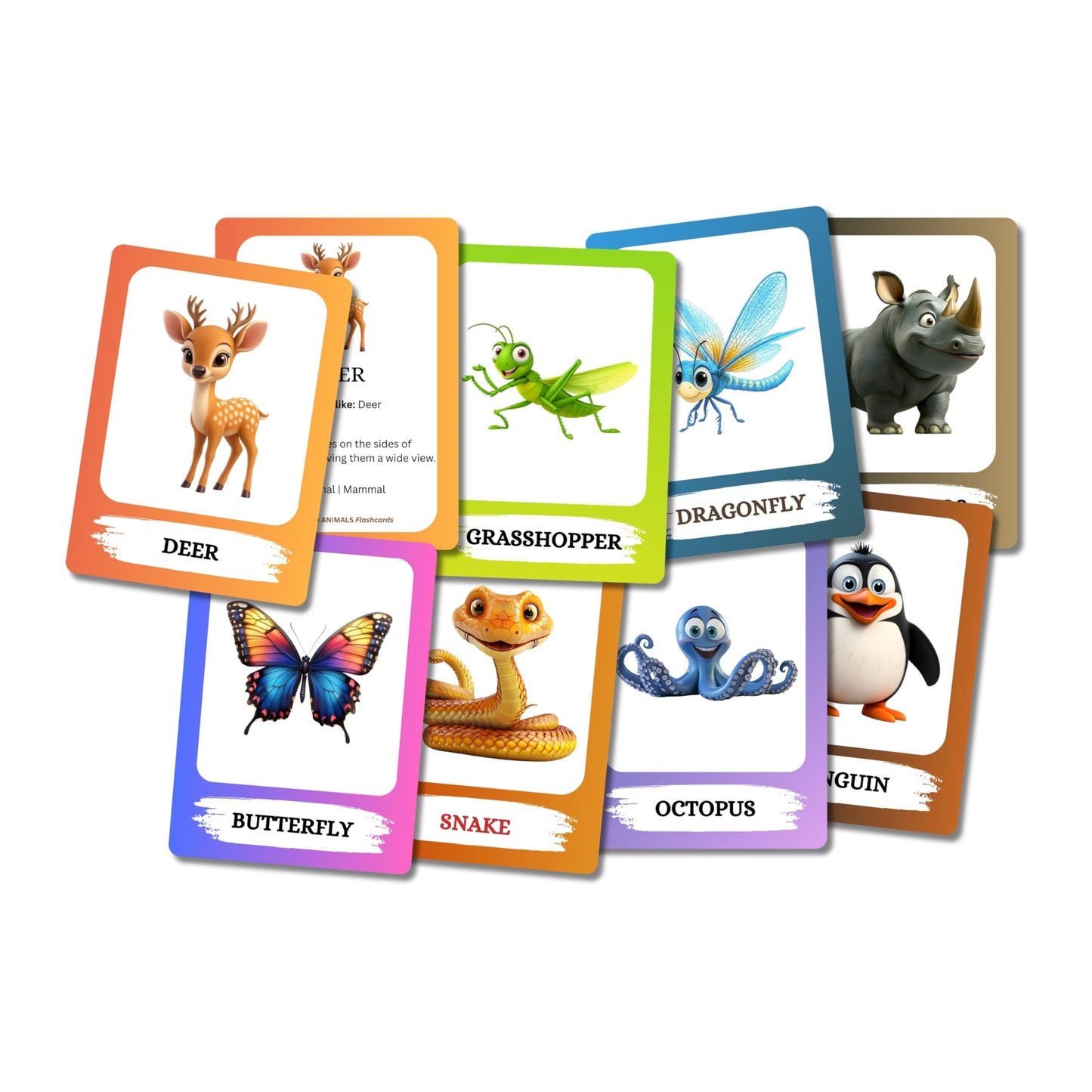 The Biblio Hub Animated Mixed Animals Flashcards – Non-Tearable Synthetic Learning Cards for Toddlers, Preschool & Kindergarten, Double-Sided Set