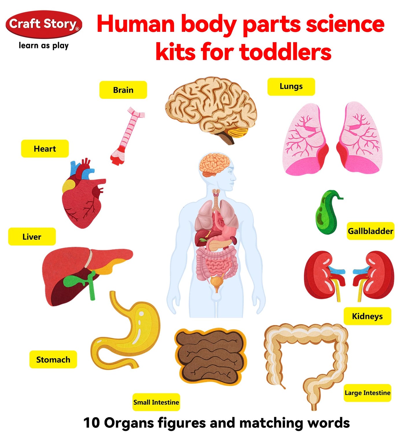 Craftstory Teaching Body Parts Felt Board Stories for Toddlers, Arts Crafts Toys for Kids Sensory Activities Teacher Daycare Supplies