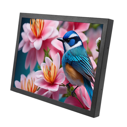 VSDISPLAY 15 Inch 1024x768 IPS LCD Monitor 4:3 Aspect Ratio Display with Metal Housing,Supports VGA/DVI Input,for Industrial/Gaming Extra Monitor