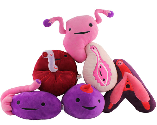 I Heart Guts - The Whole She-Bang Anatomy Bundle - Uterus Ovary Clitoris Vajayjay Placenta Female Anatomy OBGYN Medical Student Menstrual Education