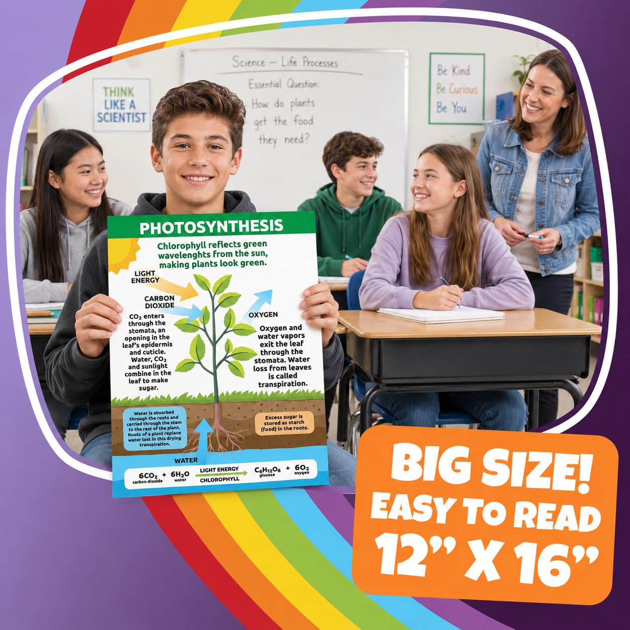Sproutbrite 8 Pack 12” x 16” Educational Plant Cells & Human Body Science Posters for Classroom - Biology & Life Science Charts and Wall Decor for Pre, Elementary, Middle & Homeschool - Covers Essential Biology, Human Anatomy, and Life Science Topics