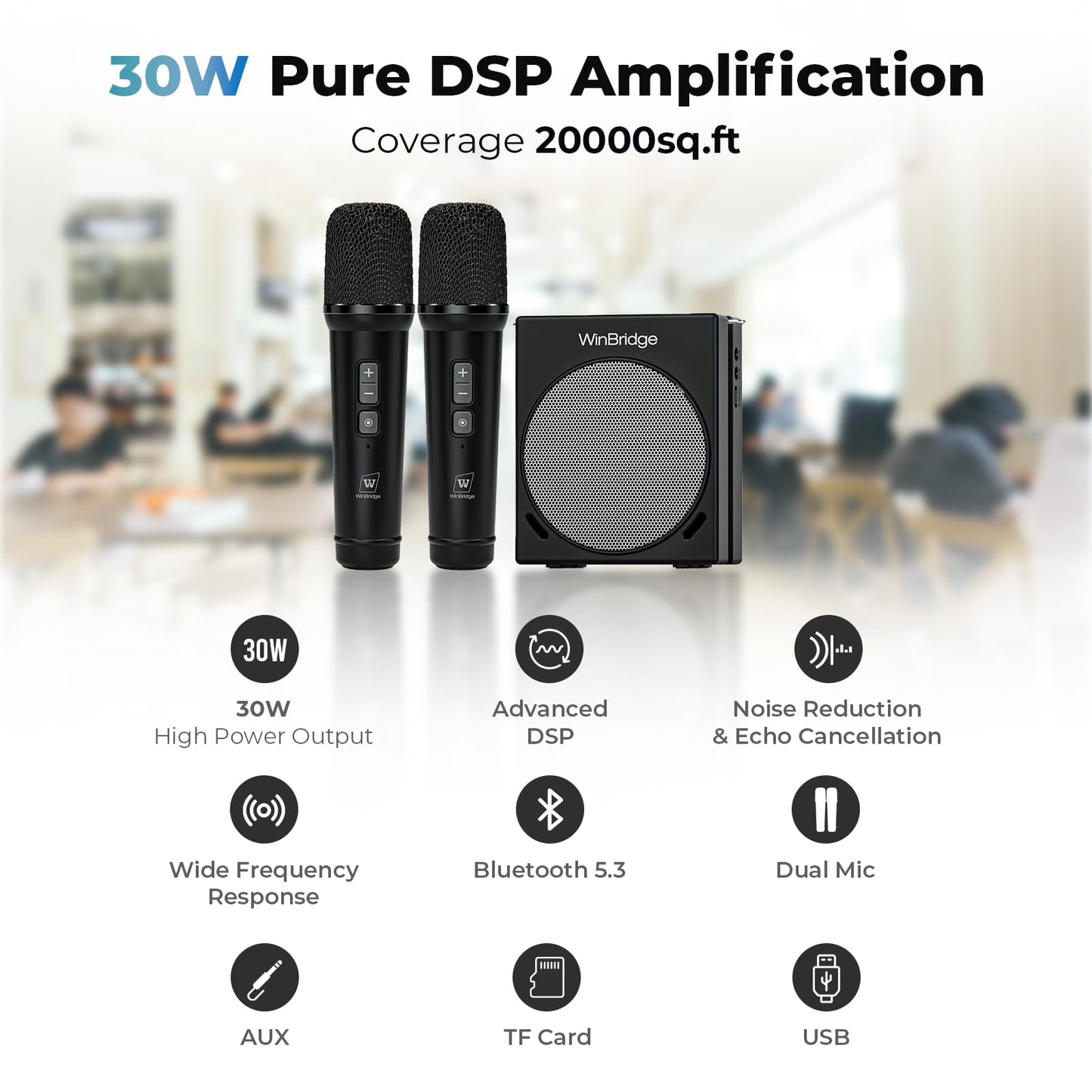 WinBridge Voice Amplifier for Teachers, Portable PA System for Public Speaking, Bluetooth Speaker with 2 Microphones for Classroom, Karaoke, Event Hosts, 30W DSP, BT/USB/TF/AUX - Black, S90