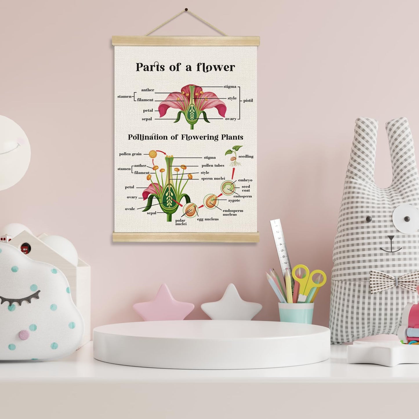 Parts of a Flower Educational Cognitive Poster,14x18.5 Inch Linen Canvas Wall Chart Plants Flower Structure and Pollination Science Learning Decor for Classroom, Homeschool ,Kids Room Decor (Pink-Flower)