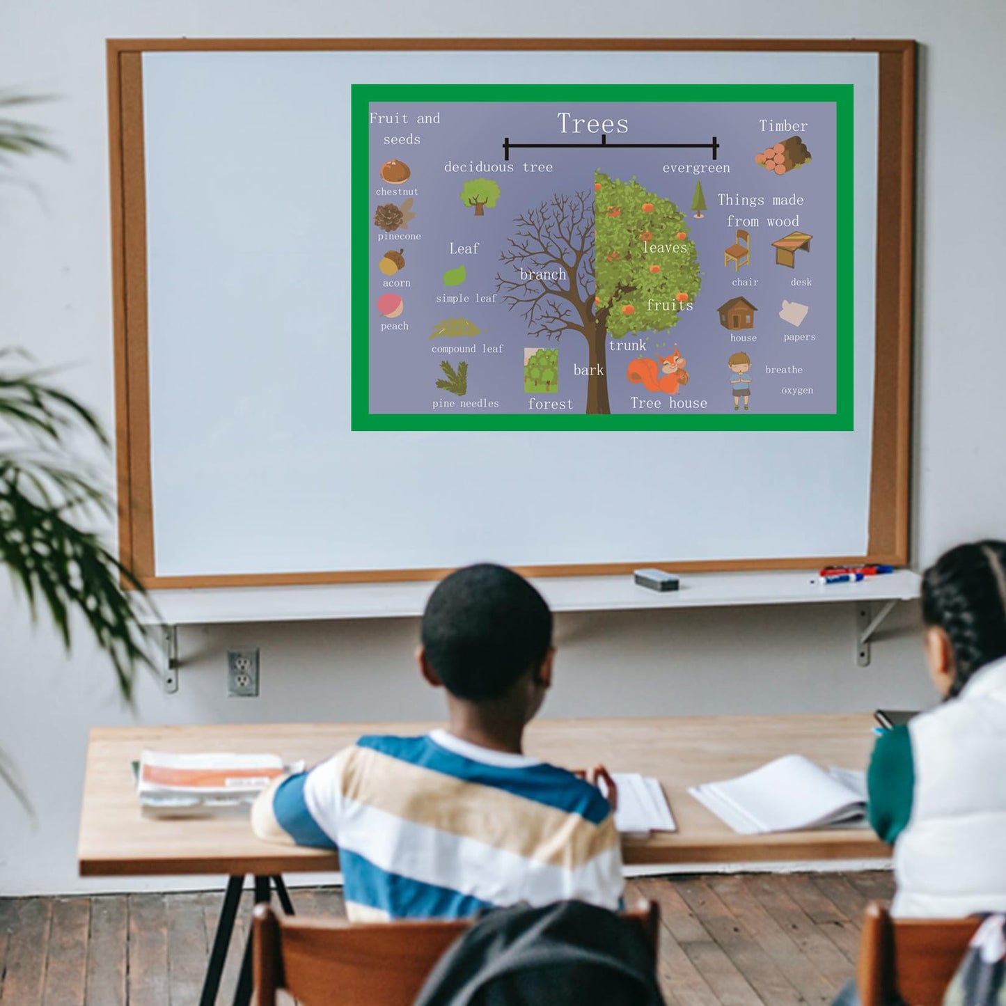 SANTSUN Trees Mind Mapping| Educational Posters for Toddlers and Kids | English Teaching Aid Tool| Handy Wall English Charts Reference for Students| Great for School Classroom Décor(17x24in)