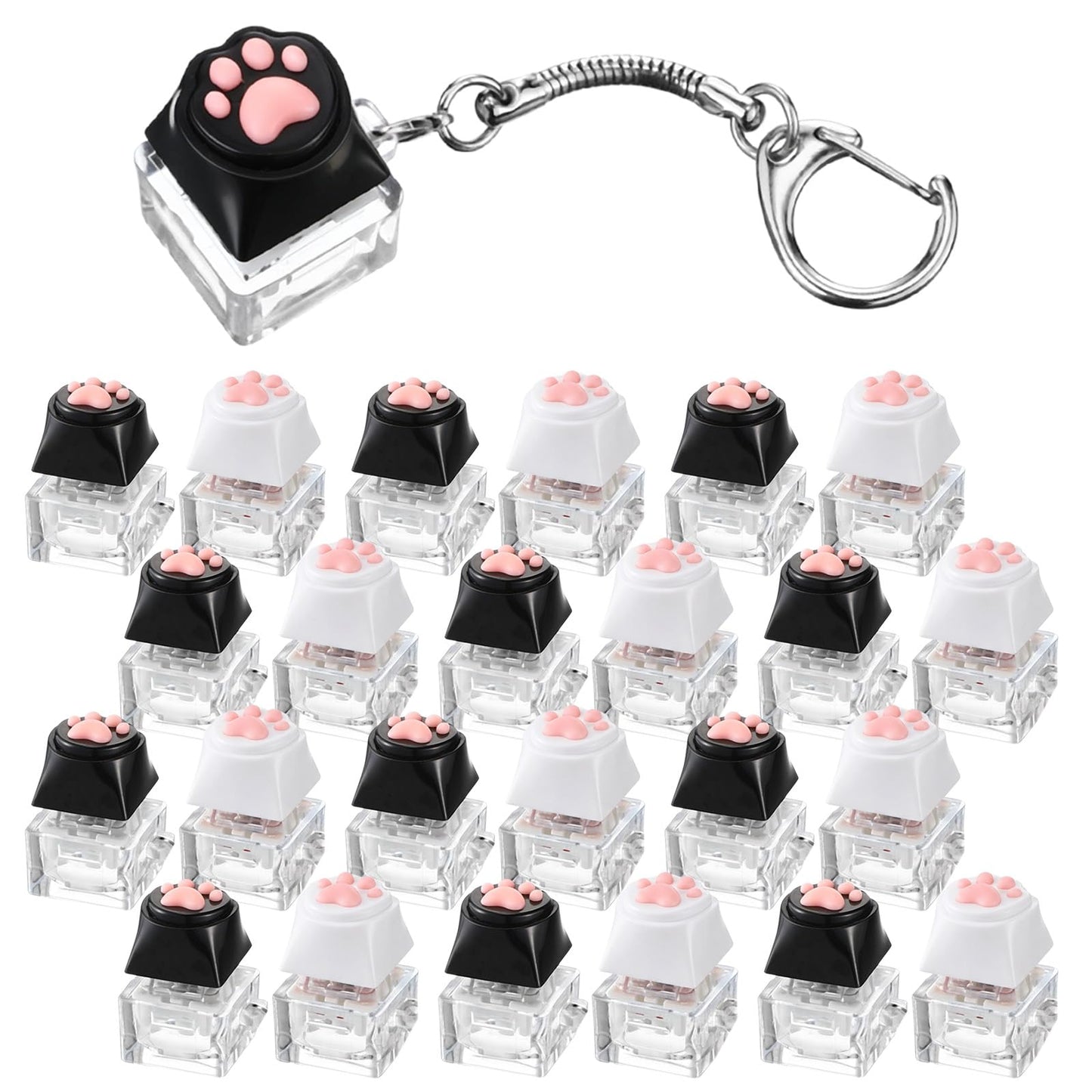 Lewtemi 24 Pcs Keyboard Fidget Clickers Cat Paw Keyboard Keychain Decompression Relief Button Finger Clickers for Adults Office Birthday Party Gifts to Relief Stress Pass the Time (Black and White)