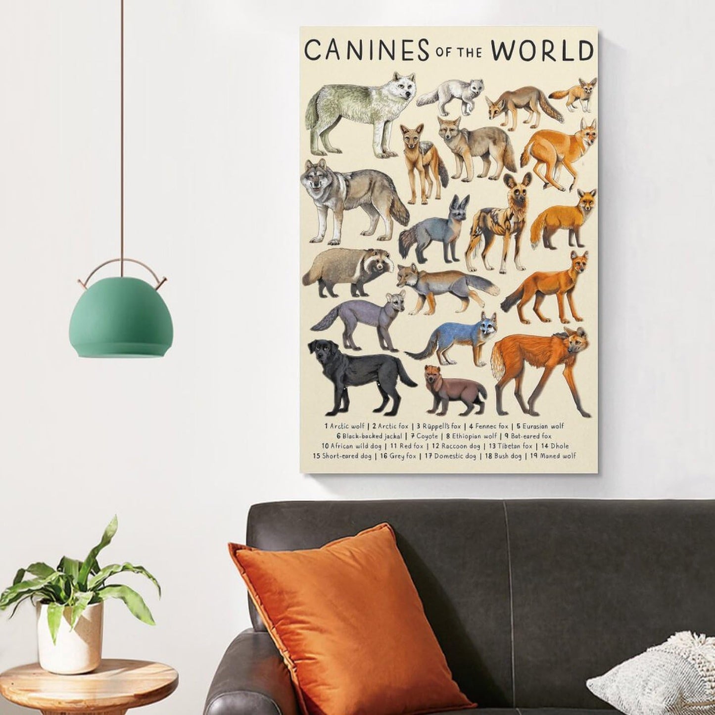 CYPGTBCK Canines Poster - Wolf Dog Fox Animal Knowledge Art - Modern Family Bedroom Decor - 16x24inch (40x60cm)