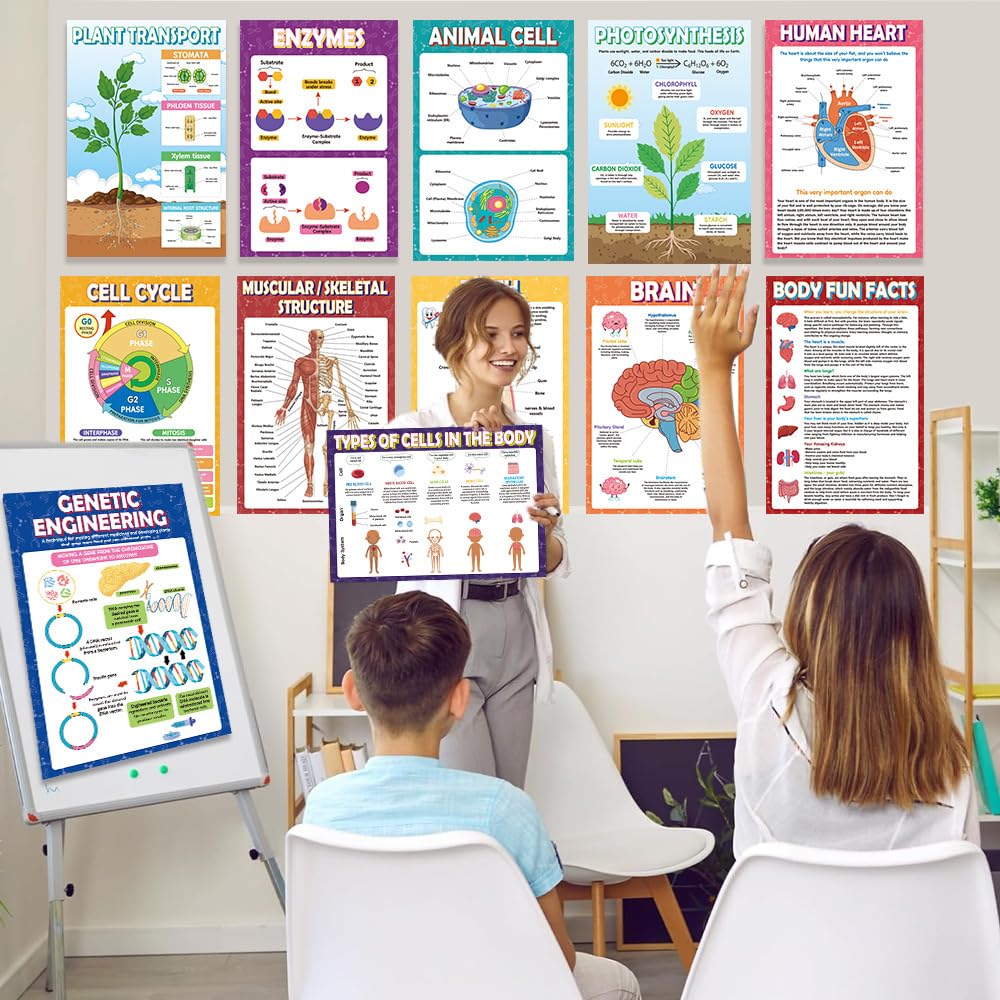 Sruchy 18 Biology Posters for Classroom, 11x17in Botany Human Life Science Educational Posters for Homeschool and Classroom Decor - Clinic Office, Home Washroom, Biology Lab, Teaching Gifts