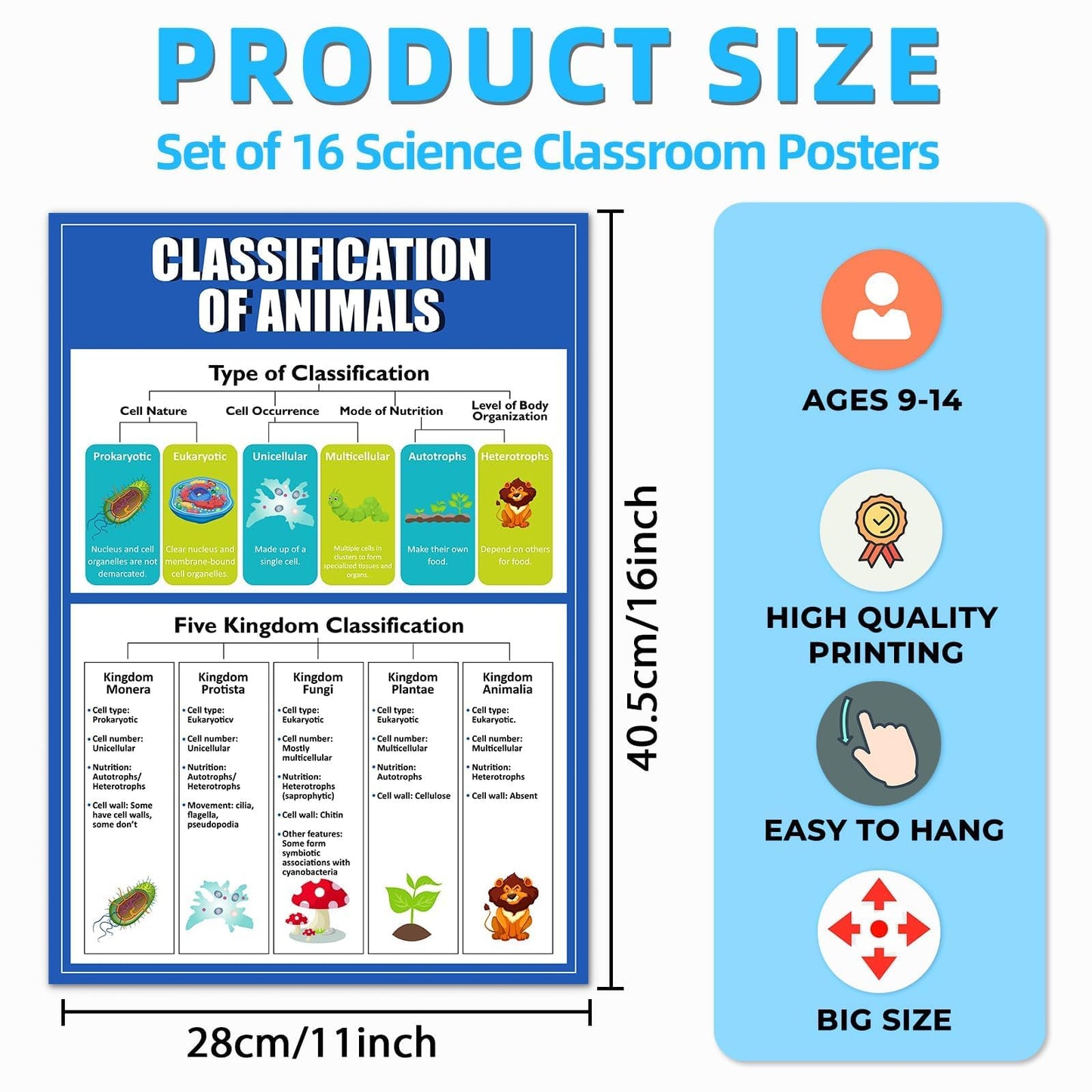 EggSun 16 Pcs Biology Science Posters for High School Classroom Decorations, 11 x 16in Life Science Poster Charts for Teachers Middle School Supplies Education Classroom Bulletin Board Wall Decor