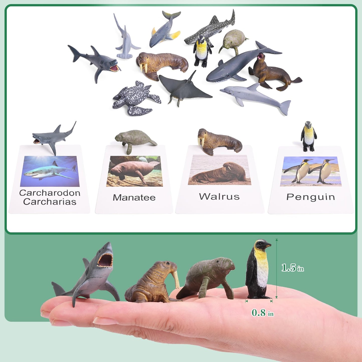 36 Animal Figurines - Educational Toys with Matching Flash Cards for Kids (Dinosaur, Zoo & Sea Animals)