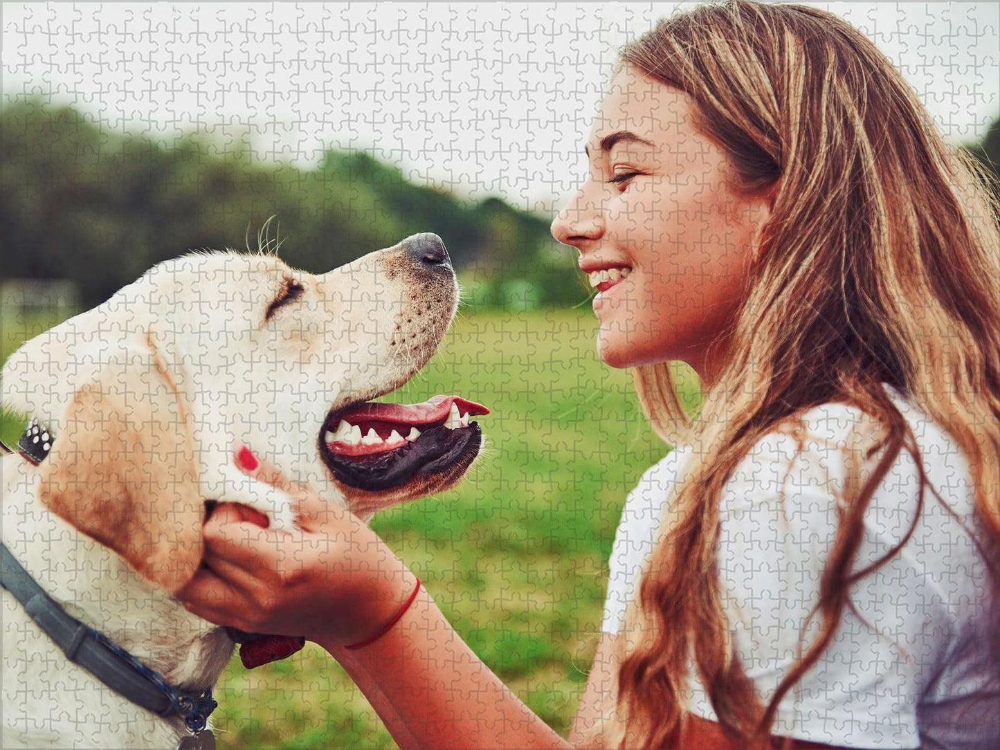 Custom Puzzle 35/70/100/120/300/500/1000/1500/2000 Piece for Adults, Custom Puzzles from Photos, Personalized Puzzle for Mother Father Family Birthday Wedding Anniversary Customized Gift