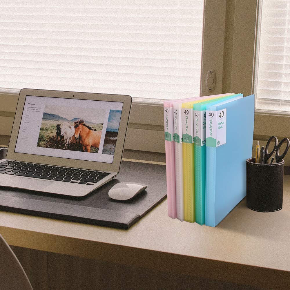 Phyxin 60-Pocket Portfolio Binder Organizer, Binder Sheet Protectors 8.5" x 11", Displaying 120 Page Plastic Folders for Documents, Document Organizer for Concert, Artwork, School & Office Use, White