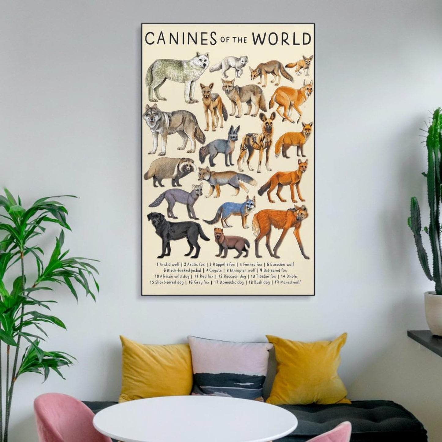 CYPGTBCK Canines Poster - Wolf Dog Fox Animal Knowledge Art - Modern Family Bedroom Decor - 16x24inch (40x60cm)