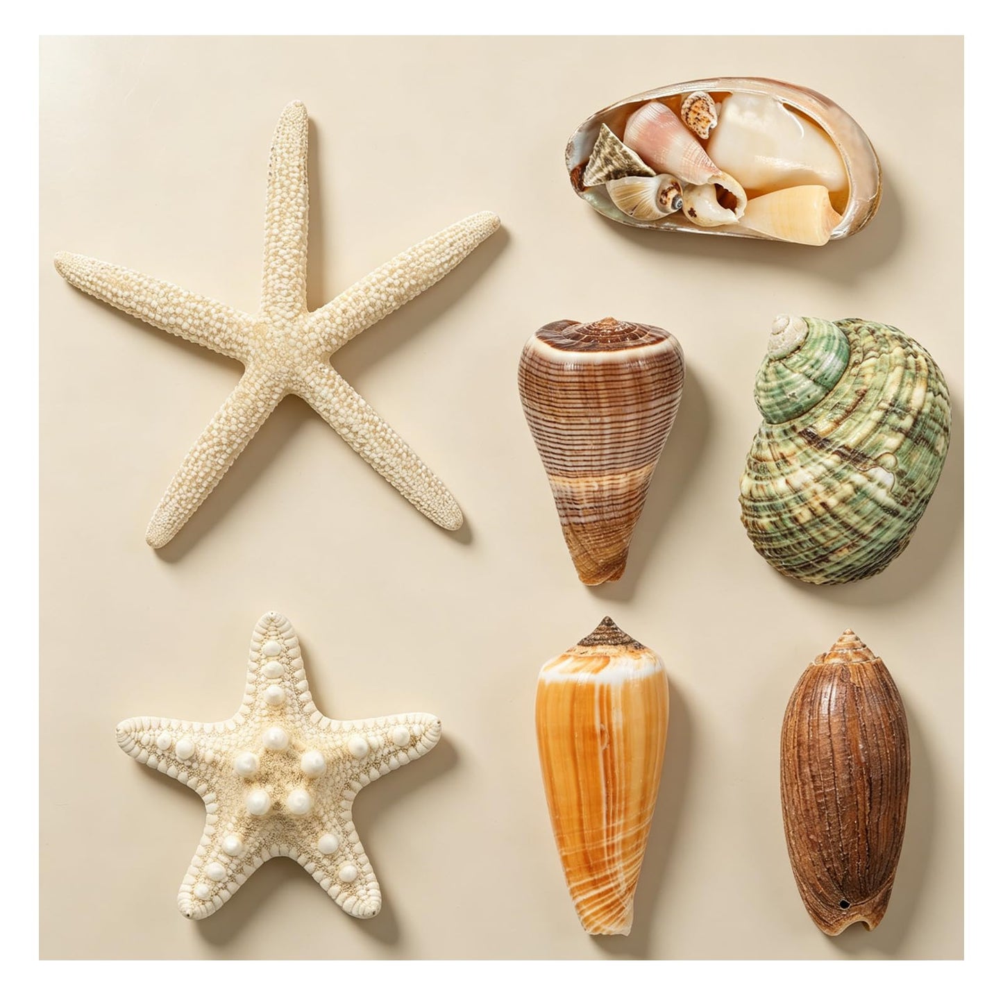 NUOBESTY Fridge Magnets 3D Seashell & Star Fish Set, Refrigerator Magnets with Magnetic Backing Coastal Decor for Kitchen Office Classroom Whiteboard Locker (7 Pcs Random Style)