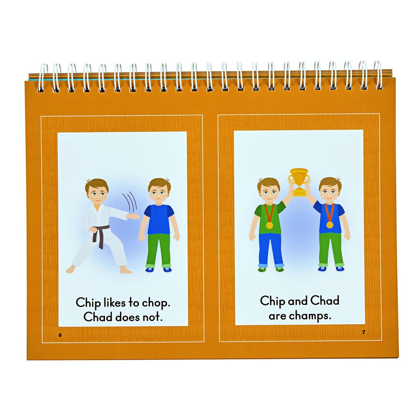 Really Good Phonics Decodable Readers Flip Chart, Consonant Digraphs and Special Digraphs, Learning Activities for Kids, Homeschool & Classroom Must Haves