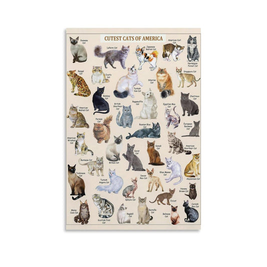 CYPGTBCK Cat Poster Types of Cat Canvas Art Poster And Wall Art Picture Print Modern Family Bedroom Decor Posters 16x24inch(40x60cm)