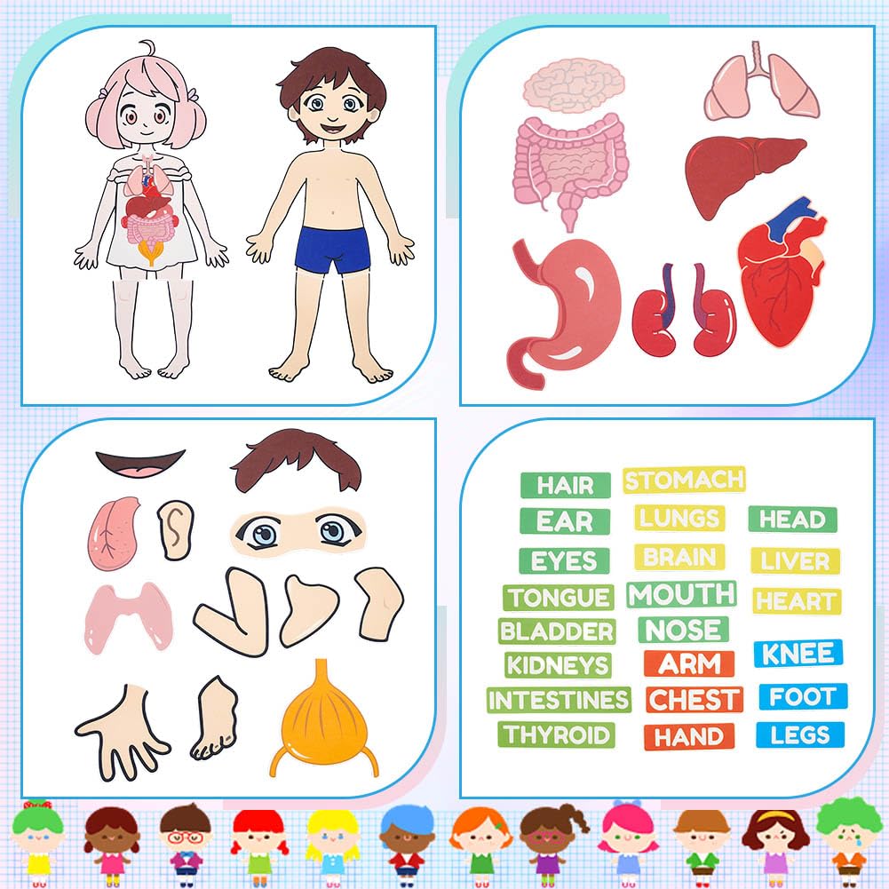 BEUNITONE Body Parts Learning Felt Story Board for Family 48 Pcs Large Preschool Human Organ Name Words Useful Felt Story Board Set Wall Activity for Birthday Christmas New Year Gifts