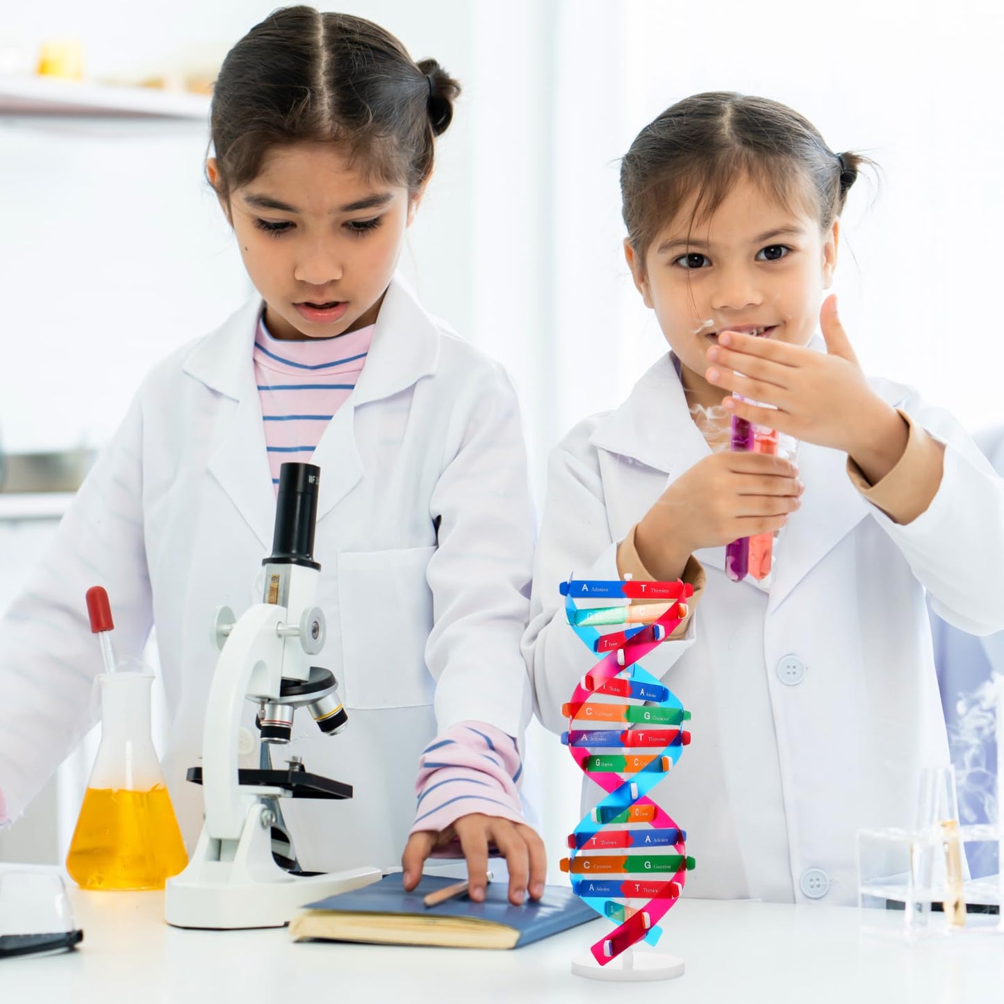NUOBESTY Educational DNA Double Helix Model Kit for Kids Interactive Biology Science Toy for Hands-on Learning 14.56 Inch DNA Structure Teaching Aid for Classroom and Home