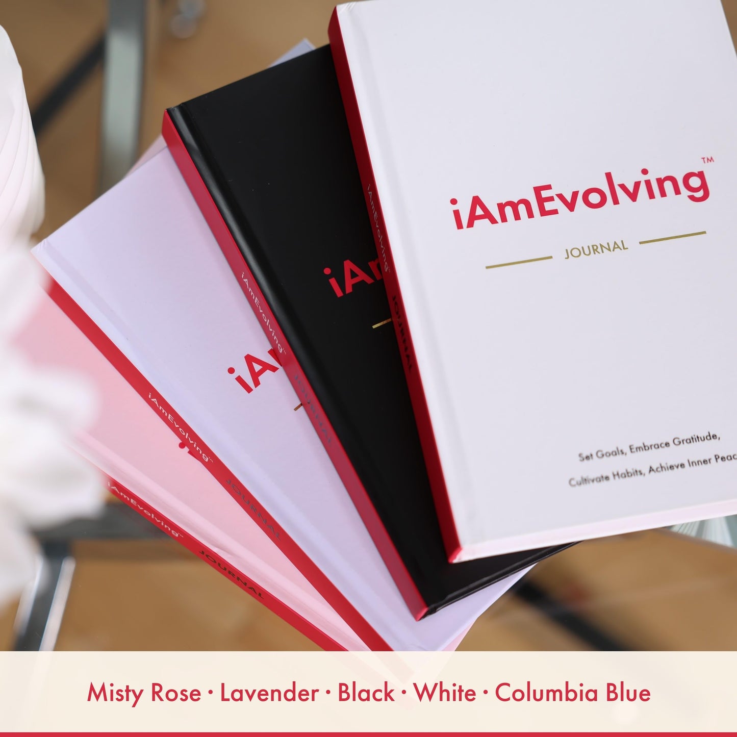 Daily Gratitude, Goal Setting & Habit Tracker Journal for Women & Men with 9-Point Emotional Wellness Scale — iAmEvolving™ 288-Page Hardcover Personal Growth Planner (White Cover)