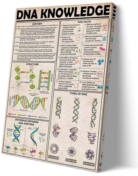Matniger DNA Wall Art Knowledge Poster Prints Educational Wall Art Biology Posters Framed Vintage Chemistry Poster for Classroom Wall Decor 12x18inches