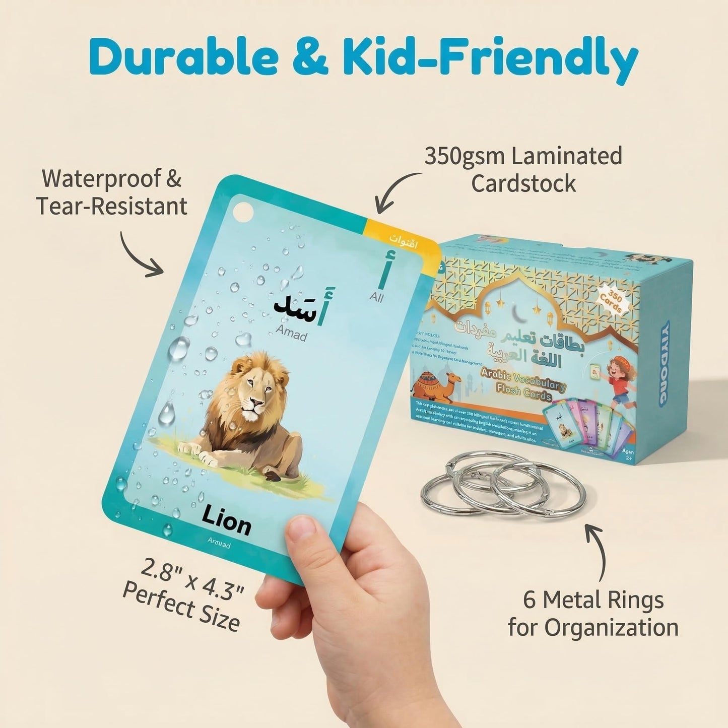 Arabic Flash Cards - Arabic Vocabulary Flash Cards for Beginners and Toddlers, Kids, Teens and Adults Include First Words, Nouns, Verbs