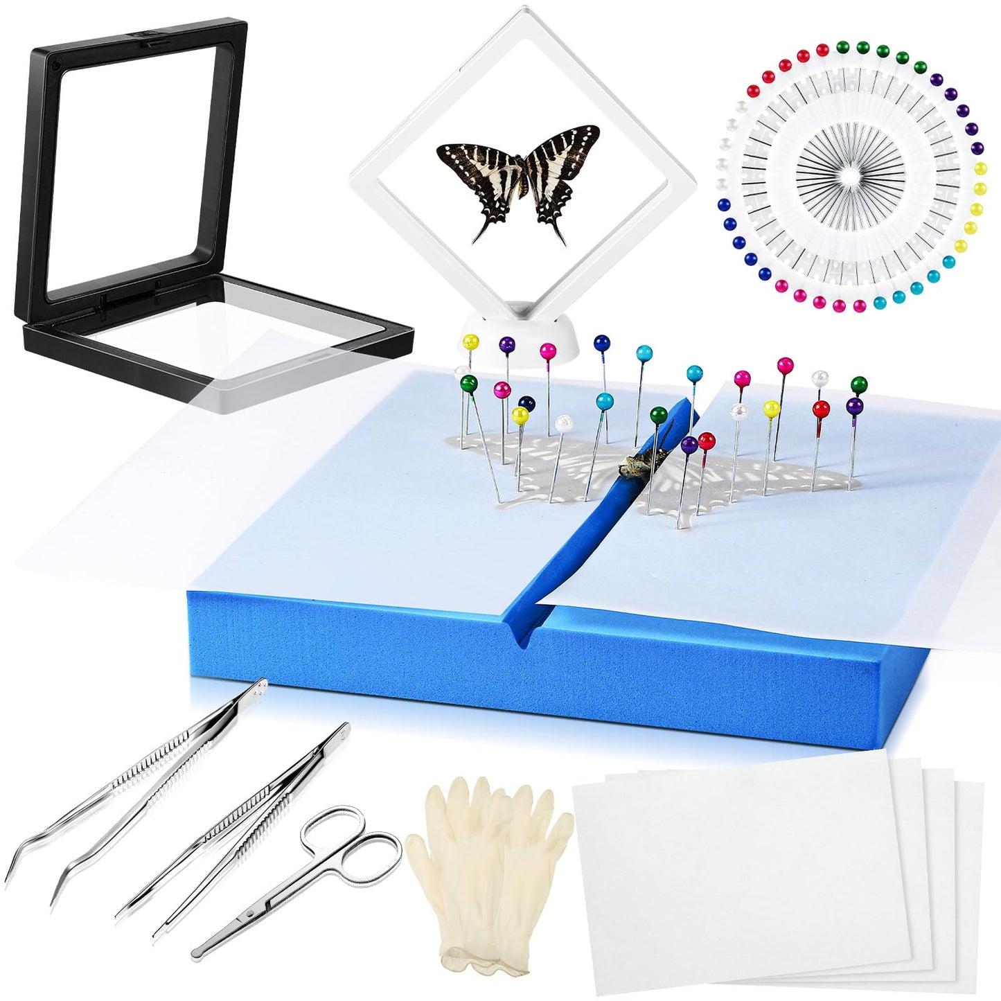 DoubleFill Insect Specimen Tools Kit Butterfly Specimen for Classroom Teaching Insect Pins Wings Pressing Paper Tweezers Scissors Gloves Insect Display Case Insect Collection for Bug Biology Projects