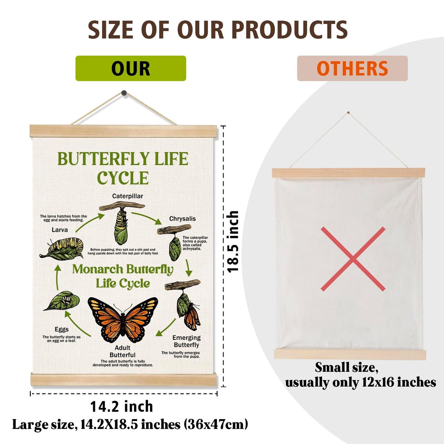 Butterfly Life Cycle Educational Wall Art,14x18.5Inch Insect Life Cycle Chart Wall Hanging Canvas Poster, Butterfly Science Learning Posters for Classroom Nursery Homeschool,Kids Room Decor (Green)