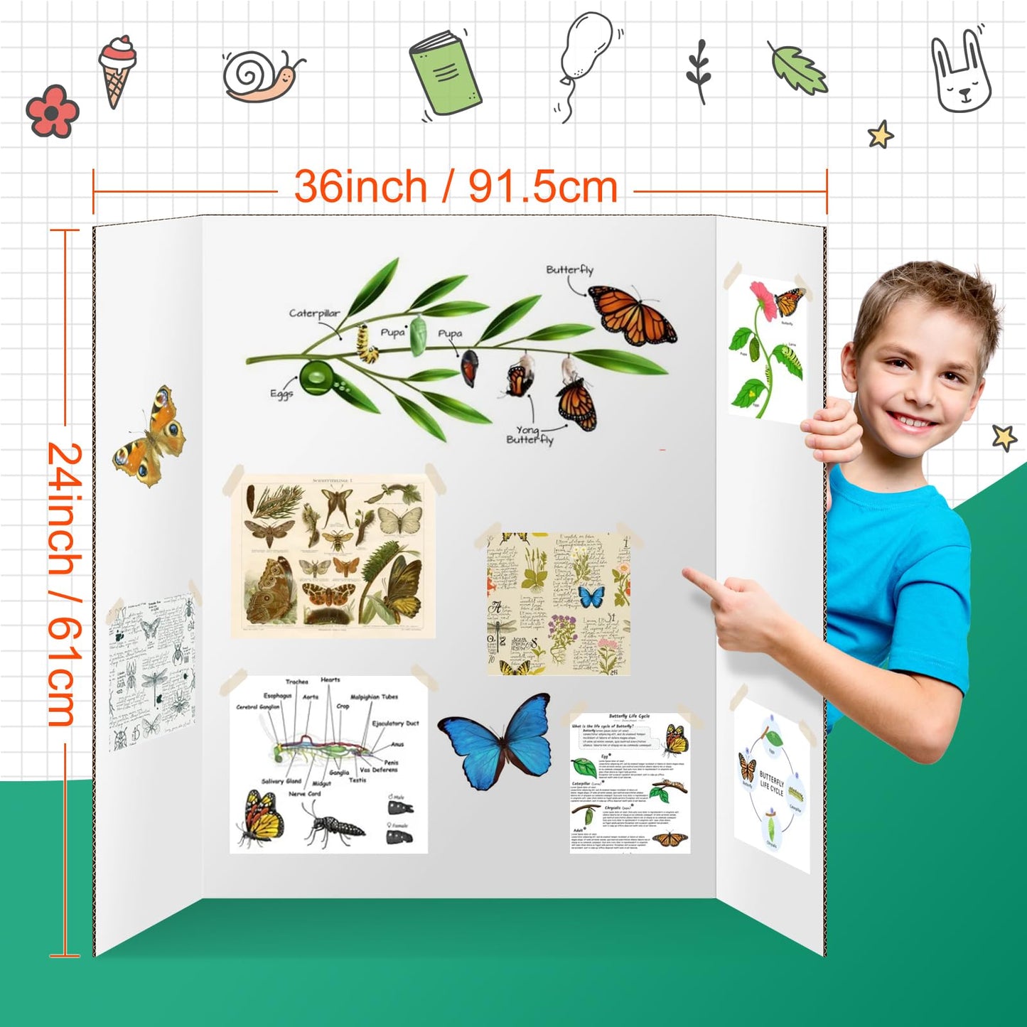 2 Pack Trifold Poster Board, IKAYAS 24" X 36" Double Sided White Tri-fold Poster Boards, Science Fair Display Boards Presentation Boards for Mounting, Art, Display, Projects Classroom Supplies