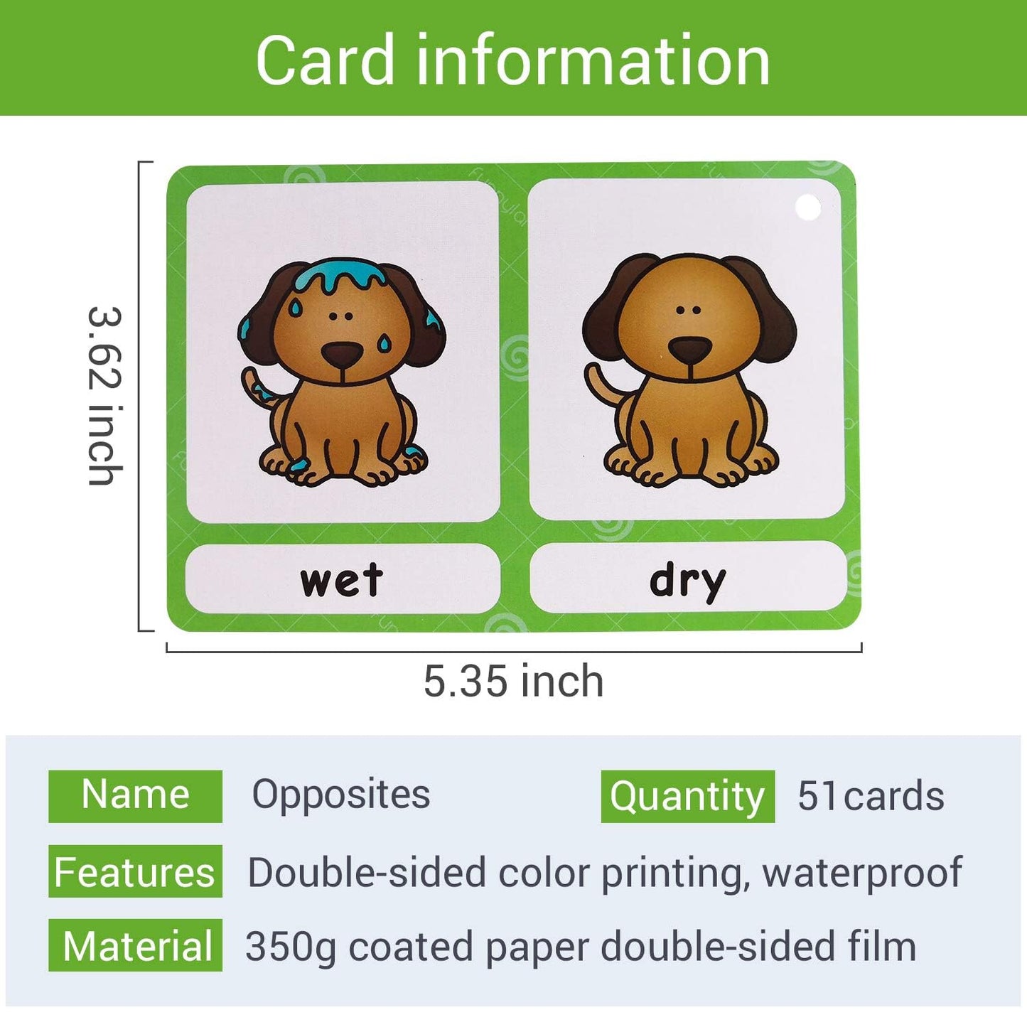 Richardy 20 Groups Synonyms/100 Groups Antonyms 2 Themes Flashcards Building Vocabulary Pocket Cards Educational Learning Toys Pre-Kindergarten Classroom Supplies