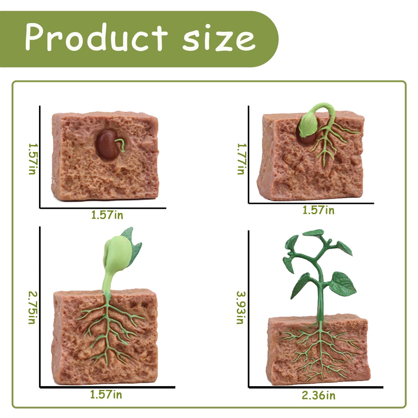 Mbrain 4 pcs Plant Growth Cycle with Flash Cards,Life Cycle Learning & Education Toys,Montessori Toys,Gift for Girl & Boy for 3 4 5 6 7 Year Old (Plant)